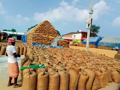 धान का उठान न होने के कारण अटी पड़ी मंडी